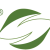 Fern Green Vertical Logo-0١ Fern Green Vertical Logo-0١